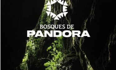 Pandora Forests and Tisquizoque Windows