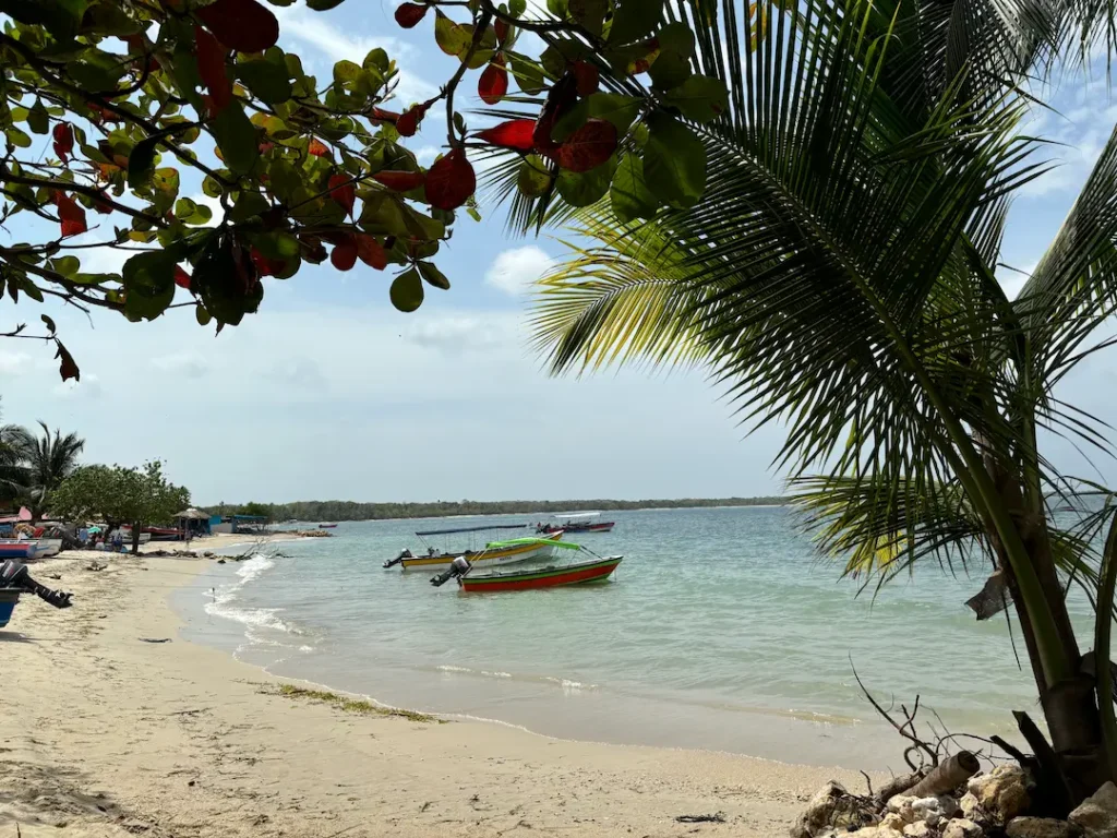 Colorful fishing boats on white sand beach with palm trees at Rincón del Mar, Colombia